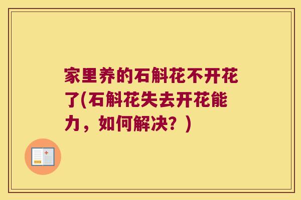 家里养的石斛花不开花了(石斛花失去开花能力，如何解决？)