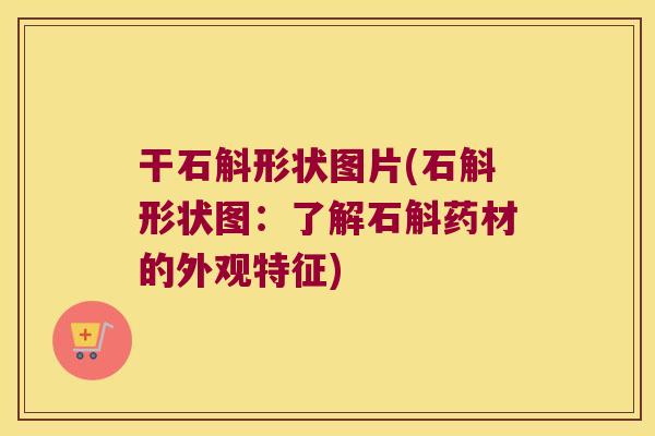 干石斛形状图片(石斛形状图：了解石斛药材的外观特征)