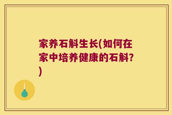家养石斛生长(如何在家中培养健康的石斛？)
