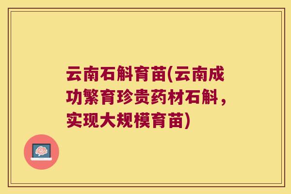 云南石斛育苗(云南成功繁育珍贵药材石斛，实现大规模育苗)
