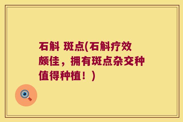 石斛 斑点(石斛疗效颇佳，拥有斑点杂交种值得种植！)