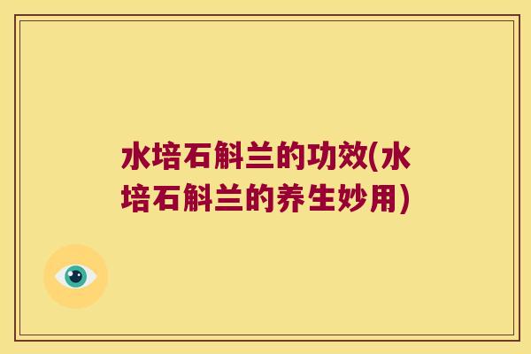 水培石斛兰的功效(水培石斛兰的养生妙用) 水培石斛兰的功效(水培石斛兰的养生妙用)