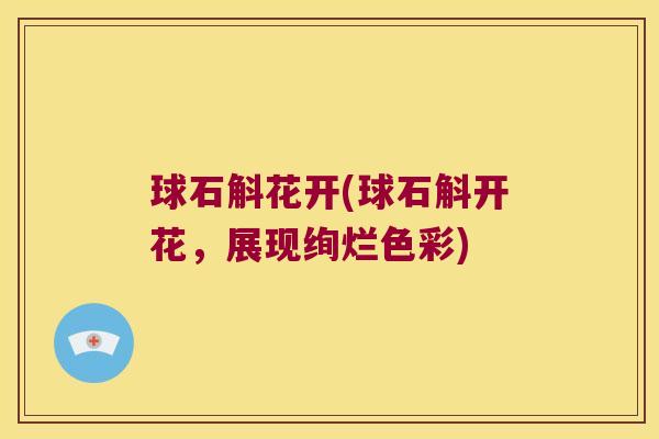 球石斛花开(球石斛开花,展现绚烂色彩) 球石斛花开(球石斛开花,展现绚烂色彩)
