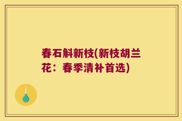 春石斛新枝(新枝胡兰花：春季清补首选)
