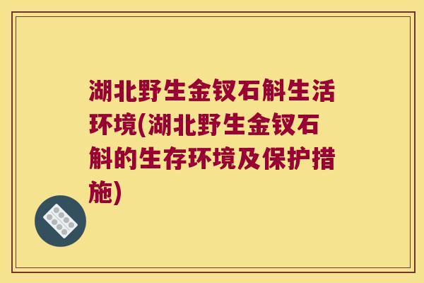 湖北野生金钗石斛生活环境(湖北野生金钗石斛的生存环境及保护措施)