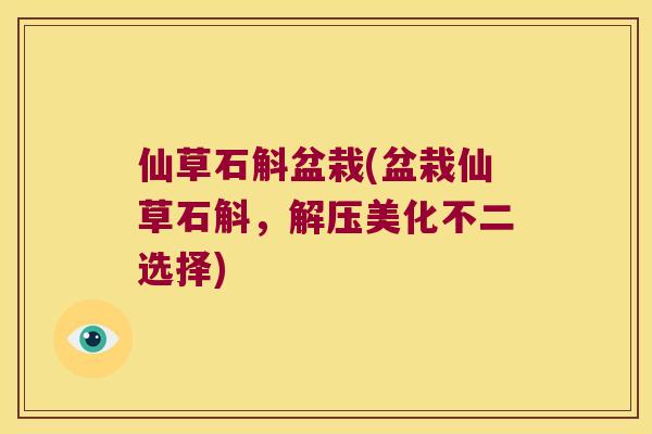 仙草石斛盆栽(盆栽仙草石斛，解压美化不二选择)