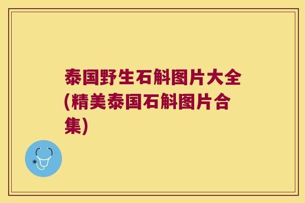 泰国野生石斛图片大全(精美泰国石斛图片合集)