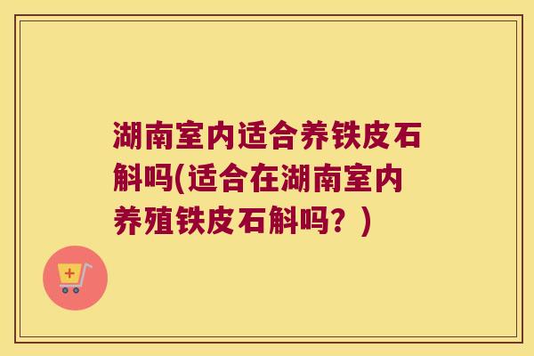 湖南室内适合养铁皮石斛吗(适合在湖南室内养殖铁皮石斛吗？)
