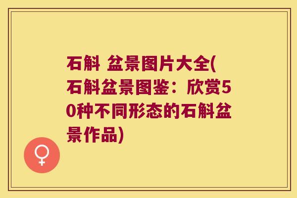 石斛 盆景图片大全(石斛盆景图鉴：欣赏50种不同形态的石斛盆景作品)