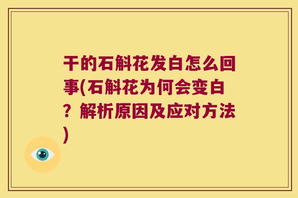 干的石斛花发白怎么回事(石斛花为何会变白？解析原因及应对方法)
