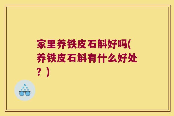家里养铁皮石斛好吗(养铁皮石斛有什么好处？)