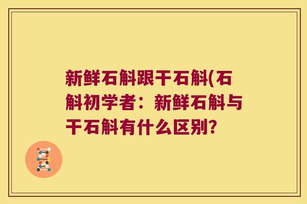 新鲜石斛跟干石斛(石斛初学者：新鲜石斛与干石斛有什么区别？