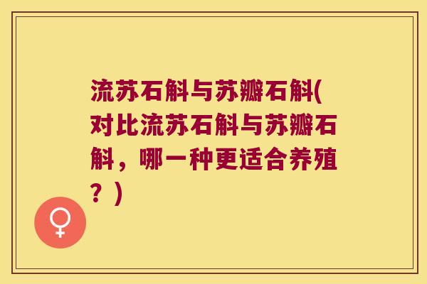 流苏石斛与苏瓣石斛(对比流苏石斛与苏瓣石斛，哪一种更适合养殖？)
