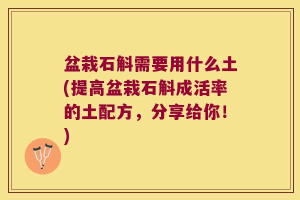盆栽石斛需要用什么土(提高盆栽石斛成活率的土配方，分享给你！)