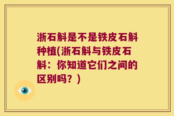 浙石斛是不是铁皮石斛种植(浙石斛与铁皮石斛:你知道它们之间的区别吗?) 浙石斛是不是铁皮石斛种植(浙石斛与铁皮石斛:你知道它们之间的区别吗?)