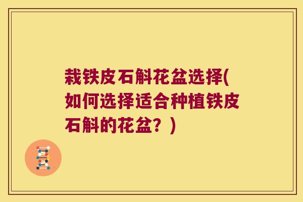 栽铁皮石斛花盆选择(如何选择适合种植铁皮石斛的花盆？)