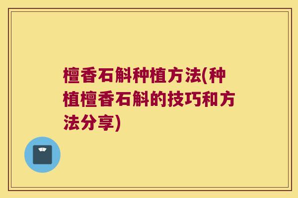 檀香石斛种植方法(种植檀香石斛的技巧和方法分享)