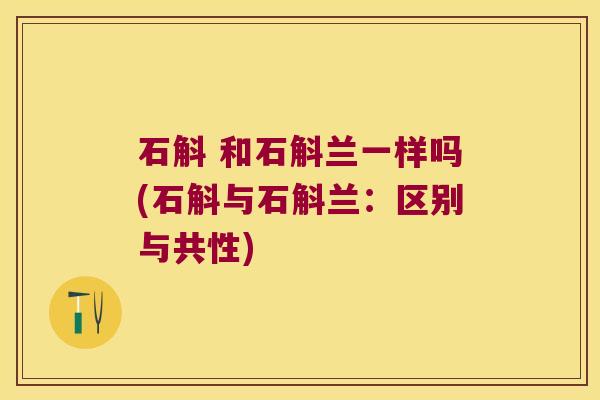 石斛 和石斛兰一样吗(石斛与石斛兰：区别与共性)