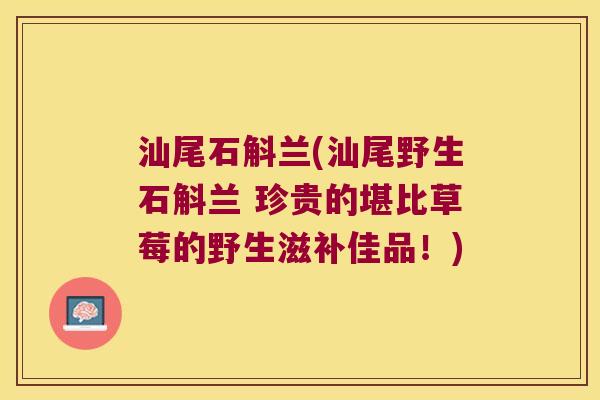 汕尾石斛兰(汕尾野生石斛兰 珍贵的堪比草莓的野生滋补佳品！)