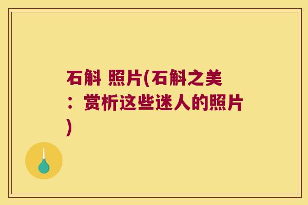 石斛 照片(石斛之美：赏析这些迷人的照片)