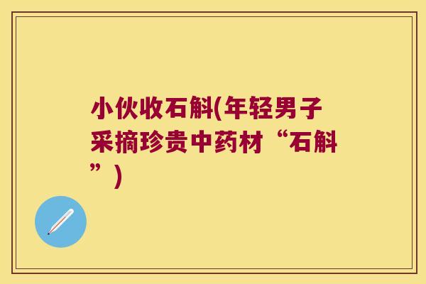 小伙收石斛(年轻男子采摘珍贵中药材“石斛”)