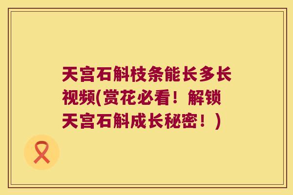 天宫石斛枝条能长多长视频(赏花必看！解锁天宫石斛成长秘密！)