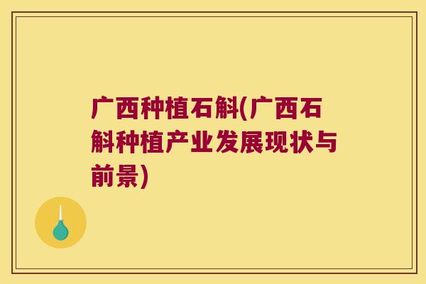 广西种植石斛(广西石斛种植产业发展现状与前景)