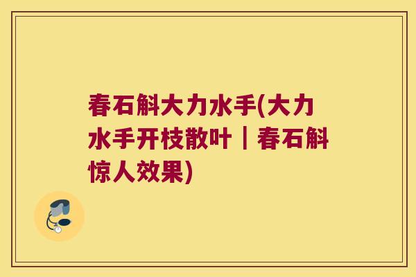 春石斛大力水手(大力水手开枝散叶｜春石斛惊人效果)