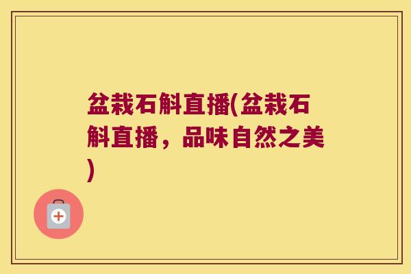 盆栽石斛直播(盆栽石斛直播，品味自然之美)