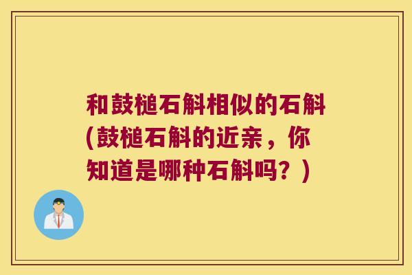 和鼓槌石斛相似的石斛(鼓槌石斛的近亲，你知道是哪种石斛吗？)
