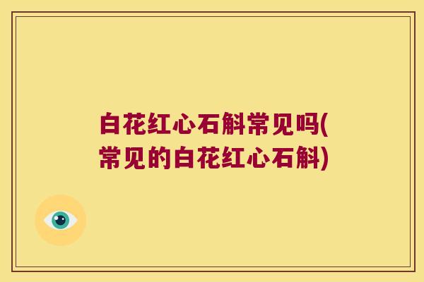 白花红心石斛常见吗(常见的白花红心石斛) 白花红心石斛常见吗(常见的白花红心石斛)