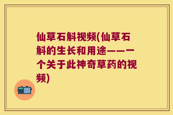 仙草石斛视频(仙草石斛的生长和用途——一个关于此神奇草药的视频)