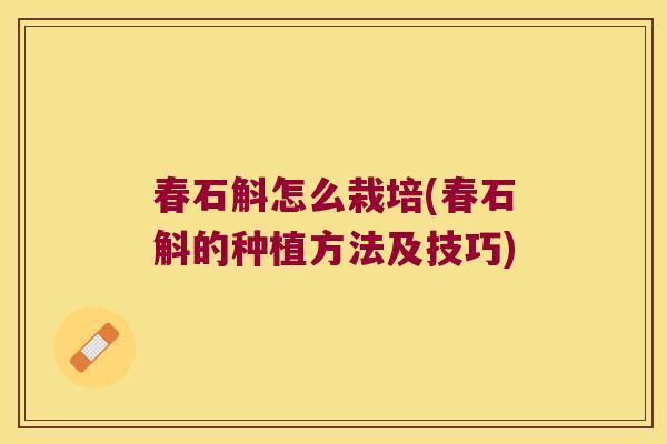 春石斛怎么栽培(春石斛的种植方法及技巧)