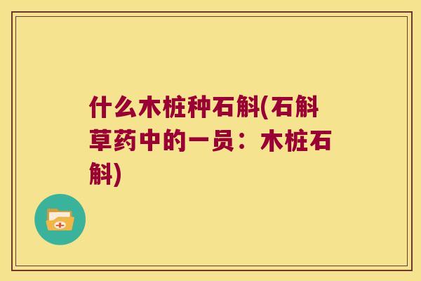 什么木桩种石斛(石斛草药中的一员：木桩石斛)