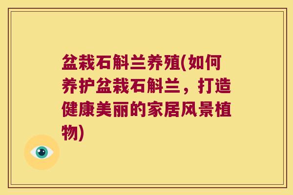 盆栽石斛兰养殖(如何养护盆栽石斛兰，打造健康美丽的家居风景植物)