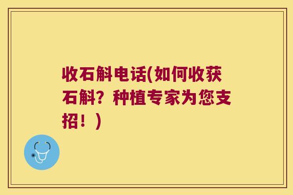 收石斛电话(如何收获石斛?种植专家为您支招!) 收石斛电话(如何收获石斛?种植专家为您支招!)