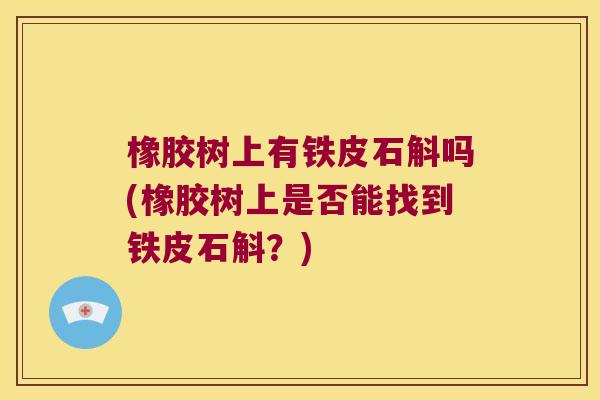 橡胶树上有铁皮石斛吗(橡胶树上是否能找到铁皮石斛？)