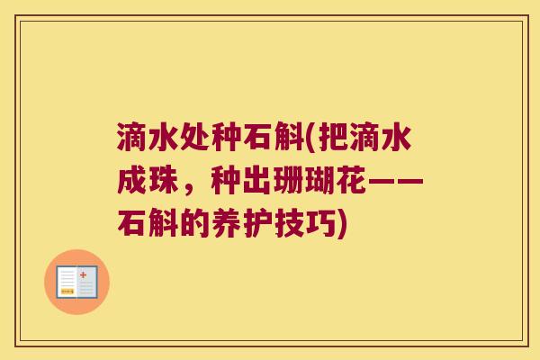 滴水处种石斛(把滴水成珠，种出珊瑚花——石斛的养护技巧)