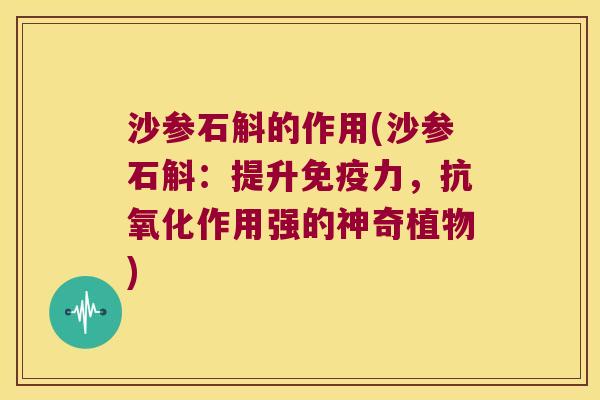 沙参石斛的作用(沙参石斛：提升免疫力，抗氧化作用强的神奇植物)