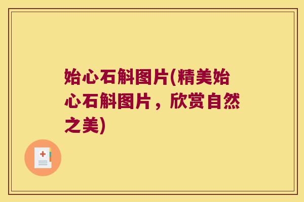 始心石斛图片(精美始心石斛图片，欣赏自然之美)