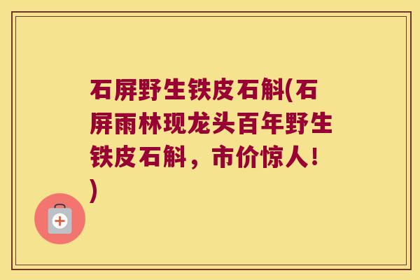 石屏野生铁皮石斛(石屏雨林现龙头百年野生铁皮石斛,市价惊人!) 石屏野生铁皮石斛(石屏雨林现龙头百年野生铁皮石斛,市价惊人!)