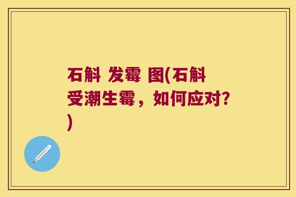 石斛 发霉 图(石斛受潮生霉，如何应对？)