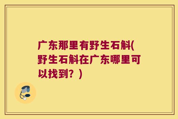 广东那里有野生石斛(野生石斛在广东哪里可以找到？)