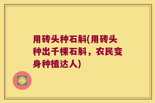 用砖头种石斛(用砖头种出千棵石斛,农民变身种植达人) 用砖头种石斛(用砖头种出千棵石斛,农民变身种植达人)