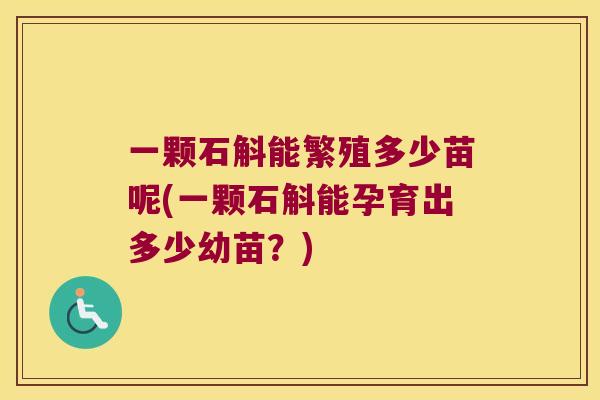 一颗石斛能繁殖多少苗呢(一颗石斛能孕育出多少幼苗?) 一颗石斛能繁殖多少苗呢(一颗石斛能孕育出多少幼苗?)