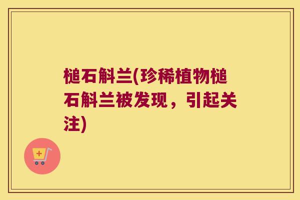 槌石斛兰(珍稀植物槌石斛兰被发现，引起关注)