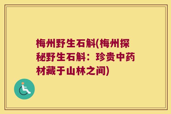 梅州野生石斛(梅州探秘野生石斛：珍贵中药材藏于山林之间)