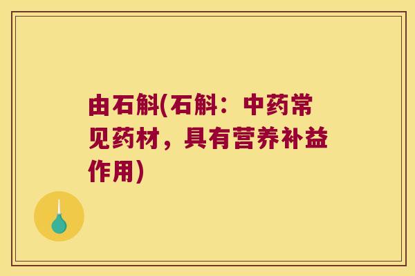 由石斛(石斛：中药常见药材，具有营养补益作用)