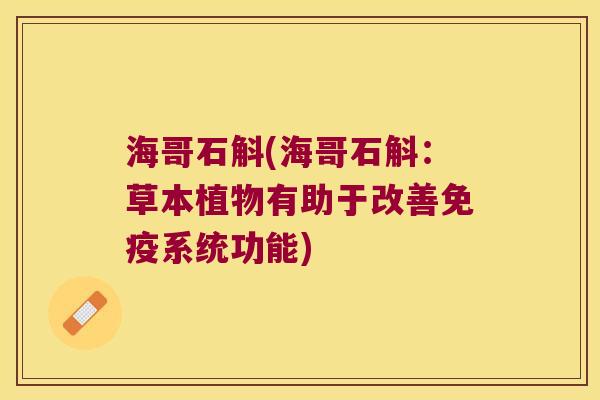 海哥石斛(海哥石斛：草本植物有助于改善系统功能)