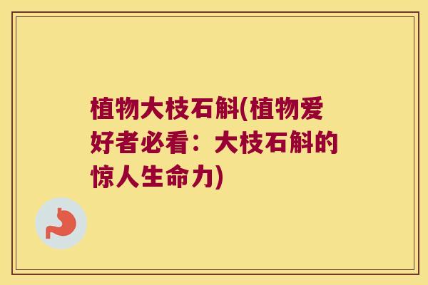 植物大枝石斛(植物爱好者必看：大枝石斛的惊人生命力)